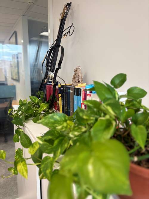Décoration du bureau